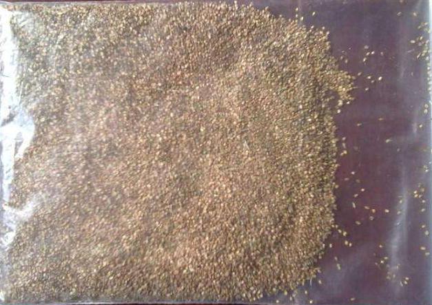 長(zhǎng)沙東日?qǐng)@林工程有限公司,長(zhǎng)沙園林綠化工程,長(zhǎng)沙綠化養(yǎng)護(hù)管理